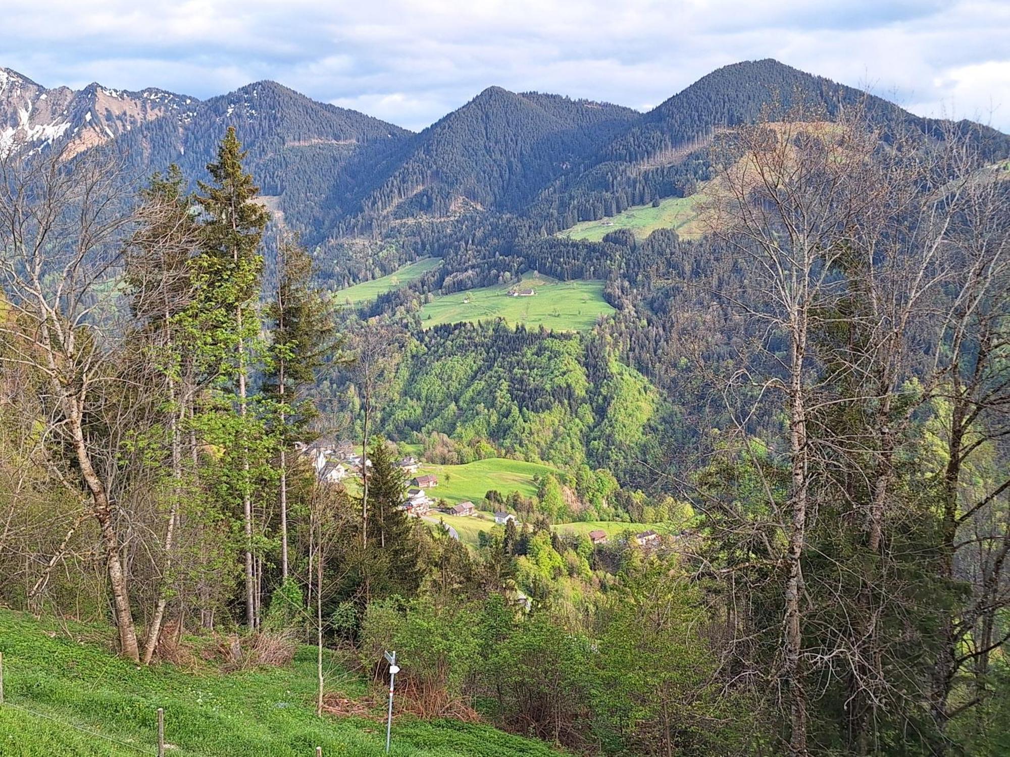 Wohnung Rheintal Im Alpenvorland Batschuns Exterior foto